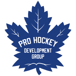 Pro-Hockey-Logo-300x300